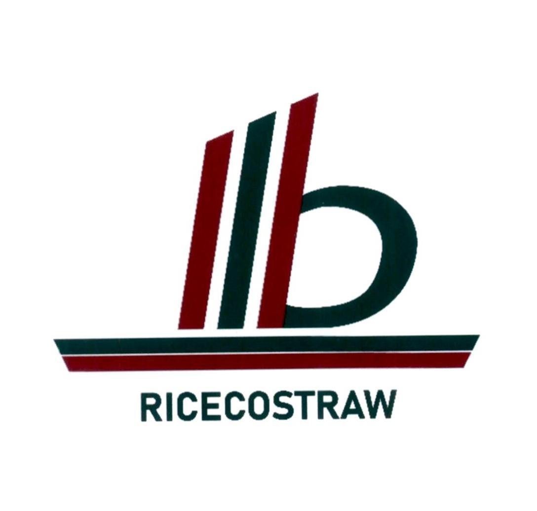 RICECOSTRAW