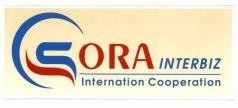 SORA INTERBIZ Internation Cooperation
