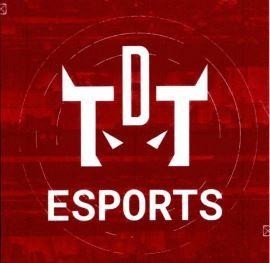 TDT ESPORTS