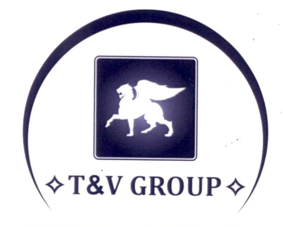 T&V GROUP