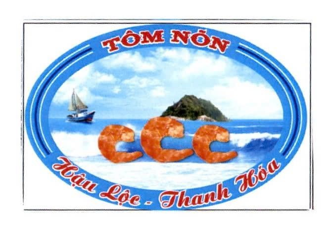 TÔM NÕN Hậu Lộc - Thanh Hóa