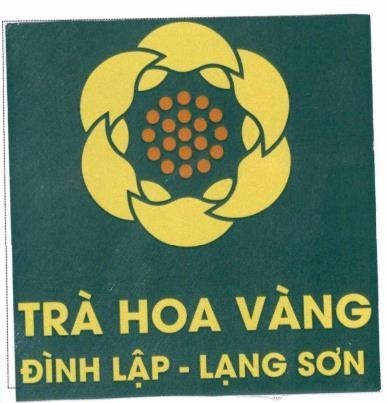 TRÀ HOA VÀNG ĐÌNH LẬP- LẠNG SƠN