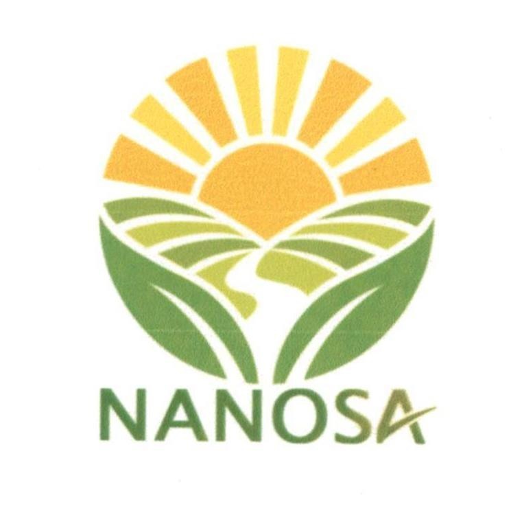 V NANOSA