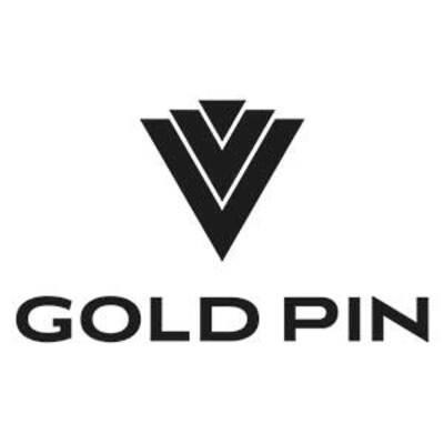 VV GOLD PIN