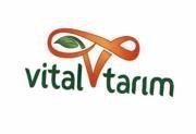 vital V tanm