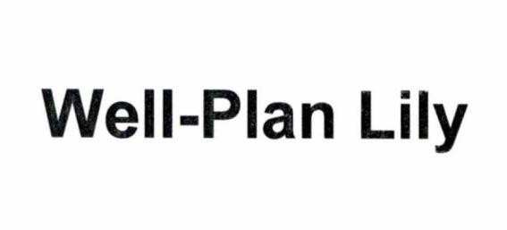 Well-Plan Lily