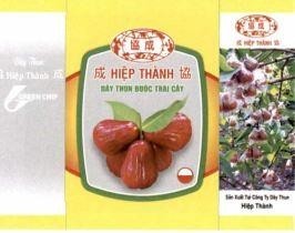 [xíe chéng: Hiệp Thành] HIỆP THÀNH [xíe chéng: Hiệp Thành] DÂY THUN BUỘC TRÁI CÂY Dây Thun Hiệp Thành [xíe chéng: Hiệp Thành] G GREEN CHIP [xíe chéng: Hiệp Thành] HIỆP THÀNH [xíe chéng: Hiệp Thành] Sản Xuất Tại Công Ty Dây Thun Hiệp Thành