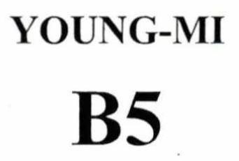 YOUNG-MI B5